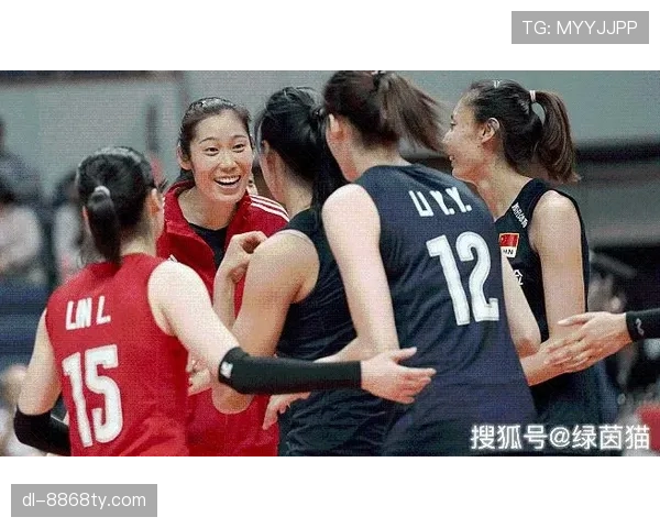 袁心玥家的猫住的都比我租的房子大